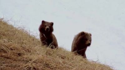 Ocean Mysteries Season 3 Episode 10