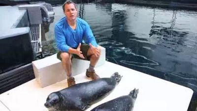 Ocean Mysteries Season 3 Episode 9