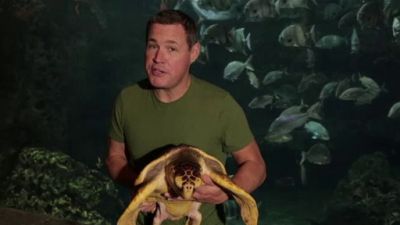 Ocean Mysteries Season 3 Episode 12