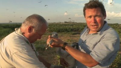 Ocean Mysteries Season 1 Episode 5