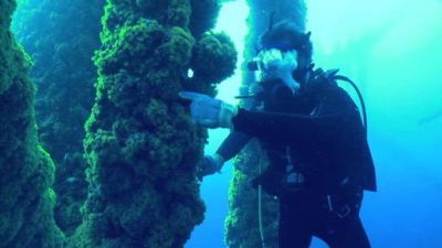 Ocean Mysteries Season 3 Episode 16
