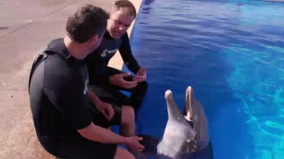 Ocean Mysteries Season 2 Episode 1