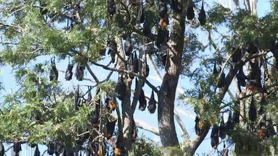 Ocean Mysteries Season 3 Episode 25