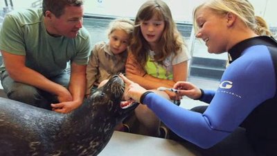 Ocean Mysteries Season 4 Episode 1