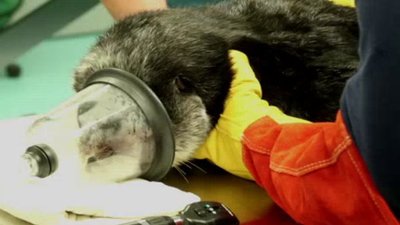 Ocean Mysteries Season 4 Episode 7