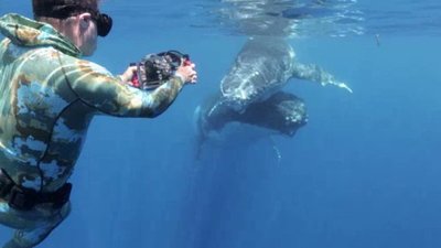 Ocean Mysteries Season 4 Episode 11