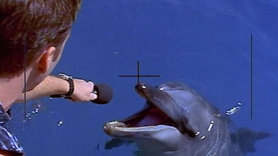 Flipper Season 2 Episode 5