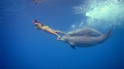 Flipper Season 2 Episode 19