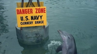 Flipper Season 3 Episode 24