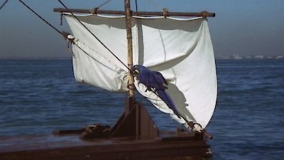 Flipper Season 3 Episode 26