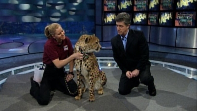 America's Funniest Home Videos: Kid Favorites Season 1 Episode 2