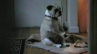 America's Funniest Home Videos: Kid Favorites Season 1 Episode 7