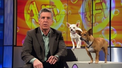 America's Funniest Home Videos: Kid Favorites Season 1 Episode 13