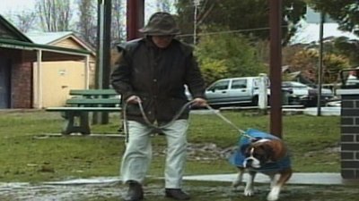 America's Funniest Home Videos: Kid Favorites Season 3 Episode 2