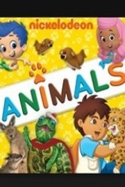 Nick Jr.: Animals, Animals, Everywhere!