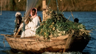 Secrets of the Deep Season 1 Episode 1