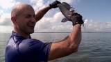 Catfish Madness