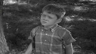 andy griffith show full episodes season 3