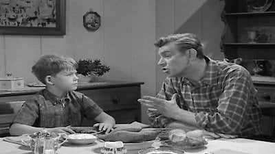 The Andy Griffith Show Season 4 Episode 29