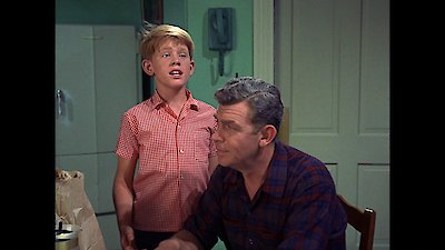 The Andy Griffith Show Season 7 Episode 11