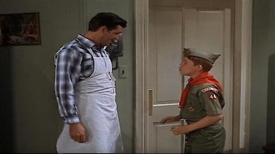 The Andy Griffith Show Season 7 Episode 17