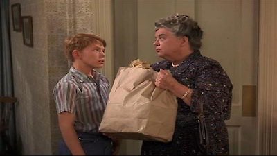 The Andy Griffith Show Season 7 Episode 29