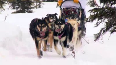 R5 Sons Alaska Season 1 Episode 13