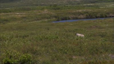 R5 Sons Alaska Season 2 Episode 1