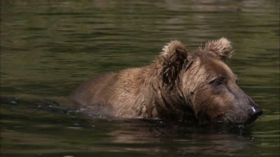 R5 Sons Alaska Season 2 Episode 2