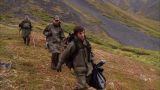 Dall Sheep Hunting Adventure