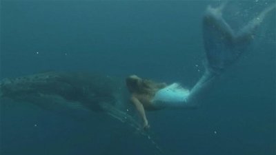 20/20 Season 32 Episode 53