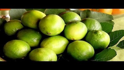 Barefoot Contessa Season 16 Episode 1