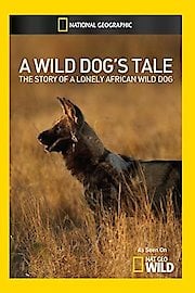 A Wild Dog's Tale