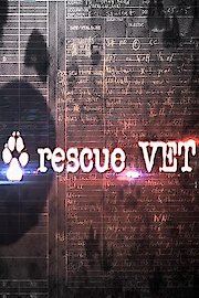Rescue Vet