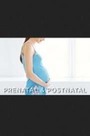 Gaiam Prenatal & Postnatal