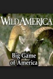 Wild America: Big Game of America Collection