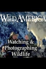 Wild America, Watching & Photographing Wildlife Collection