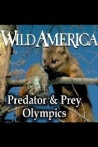 Wild America, Predator & Prey Olympics Collection