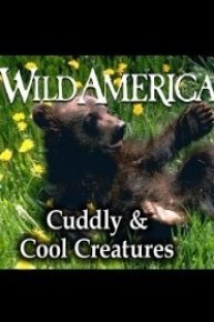 Wild America, Cuddly & Cool Creatures Collection