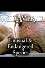 Wild America, Unusual & Endangered Species Collection
