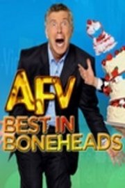 America's Funniest Home Videos: Best in Boneheads