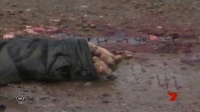 The First 48 Season 1 Episode 8