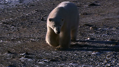 Ice Cold Gold Season 1 Episode 5