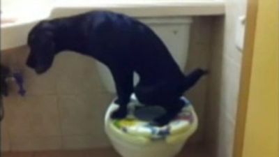 Que Jalada Season 1 Episode 69