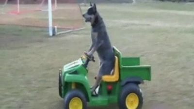 Que Jalada Season 1 Episode 84