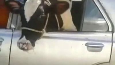 Que Jalada Season 1 Episode 78