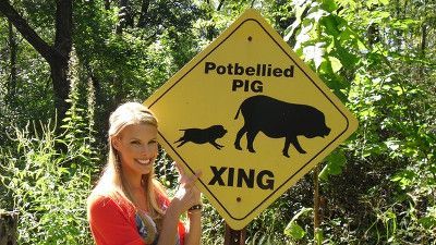 Spoiled Rotten Pets Season 1 Episode 1