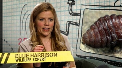 Outrageous Acts Of Science Season 2 Episode 6