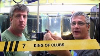 Outrageous Acts Of Science Season 4 Episode 2