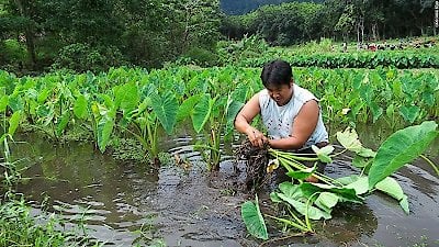 Anthony Bourdain: Parts Unknown Season 5 Episode 7